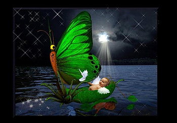 Butterfly and Baby, moonlight, butterfly, fantasy, art, baby, water HD wallpaper