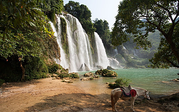 Waterfall in Vietnam, trees, waterfall, horse, Vietnam HD wallpaper