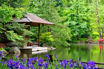 Pond tranquility, relax, serenity, tranquil, quiet, reflection, trees, greenery, pond, gazebo, garden, beautiful, lake, park, summer, rest, nature, flowers, lovely, forest HD wallpaper