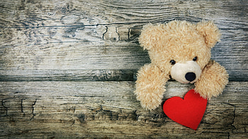 Happy Valentine's Day!, valentine, toy, teddy bear, wood, red, card, heart HD wallpaper