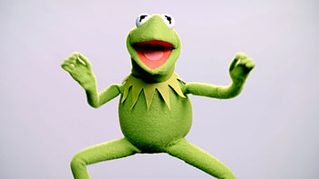 Kermit the Frog, Rainbow connection, Memes, Film Daily HD wallpaper