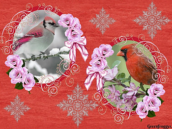 PRETTY BIRDS, BIRDS, PRETTY, FRAMED HD wallpaper