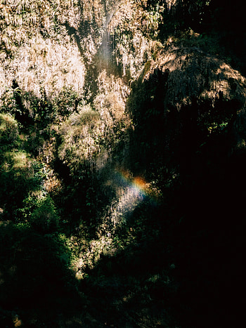 Nature, Rainbow, Rock, Waterfall, Vegetation, Jungle HD phone wallpaper