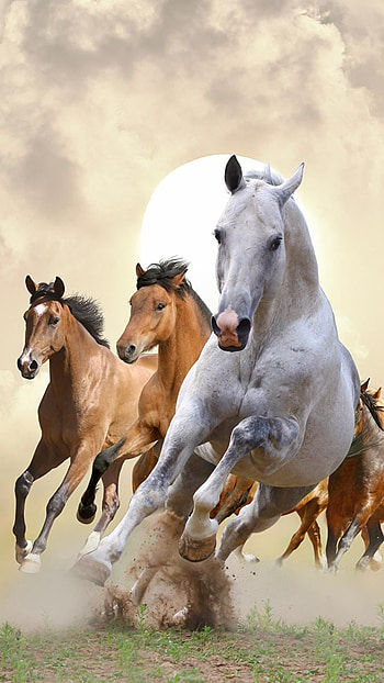 Running Horse HD phone wallpaper