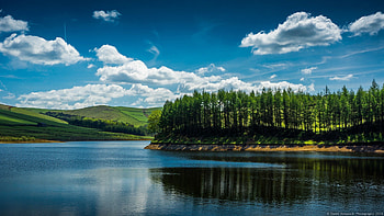Nature, Rivers, Trees, Summer, Shore, Bank, Flow HD wallpaper