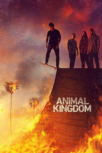 Animal Kingdom, TV series 2016, Posters, The Movie Database HD phone wallpaper