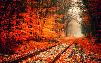 Autumn , Backgrounds - Path HD wallpaper