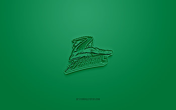Florida Everblades, creative 3D logo, green background, ECHL, 3d emblem, American Hockey Club, Florida, USA, 3d art, hockey, Florida Everblades 3d logo HD wallpaper