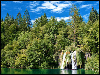waterfall in the forest, wood, trees, waterfall, sky, nature, forest HD wallpaper