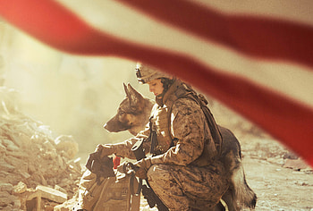 Megan Leavey 2017 Movie , megan-leavey, 2017-movies, movies, german-shepherd, dog, army HD wallpaper
