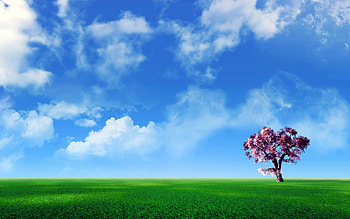 Landscape, Trees, Sky, Clouds HD wallpaper