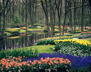 parkland, color, trees, flowers, lake, park HD wallpaper