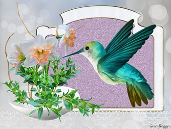 HUMMINGBIRD IN FRAME, FRAME, CREATION, ABSTRACT, BIRD HD wallpaper