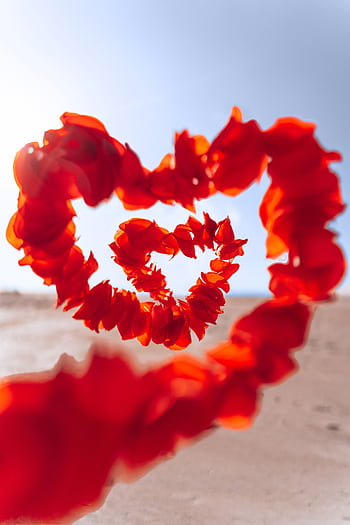 Vivid heart-shaped garland of red petals against a bright desert backdrop. HD phone wallpaper
