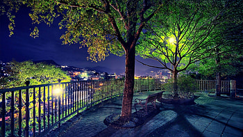 Beautiful cityscape, garden tree, night, city HD wallpaper