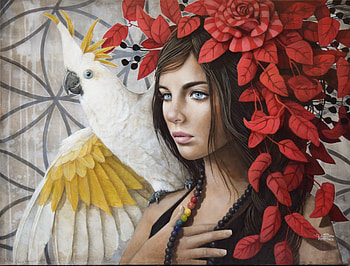 :), re, sophie wilkins, red, burd, pasari, parrot, art, fantasy, yellow, hite HD wallpaper