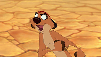 Timon and Pumbaa TV Series HD wallpaper