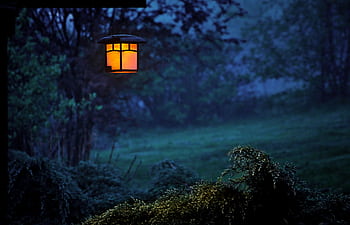 Serene outdoor night scene with a glowing lamp illuminating foggy woods. HD wallpaper