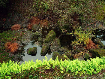 Mossy Rocks, water, rocks HD wallpaper