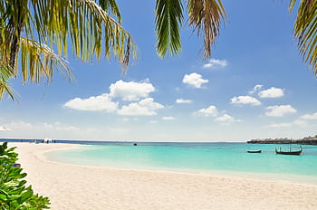 Serene beach with turquoise waters, white sand, and palm trees under a sunny sky, perfect for relaxation. HD wallpaper