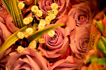 A Dozen Roses, roses, bed of roses, bouquet of roses HD wallpaper
