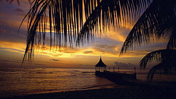 Nature, Sea, Pier, Palm, Branches, Evening, Alcove, Bower HD wallpaper