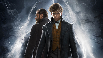 David Yates, Fantastic Beasts sequel, Crimes of Grindelwald review, Based on update HD wallpaper