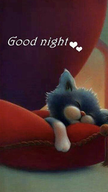 Good Night, Good Night Sweet Dreams HD phone wallpaper
