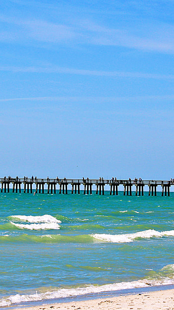 Naples, Florida, , Miami HD phone wallpaper