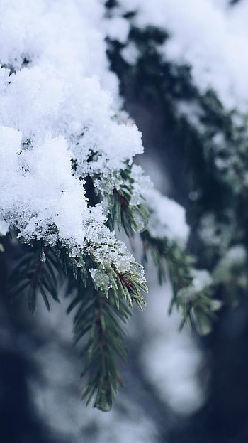Winter Aesthetic, Ice HD phone wallpaper