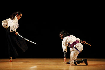 Sword fighting, Martial arts, Fencing poses, Action shots HD wallpaper