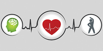 Student health, Wellness center, Illinois Institute of Technology, Campus resources HD wallpaper