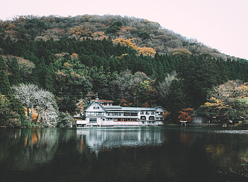 Nature, Trees, Lake, Shore, Bank, House, Elevation HD wallpaper