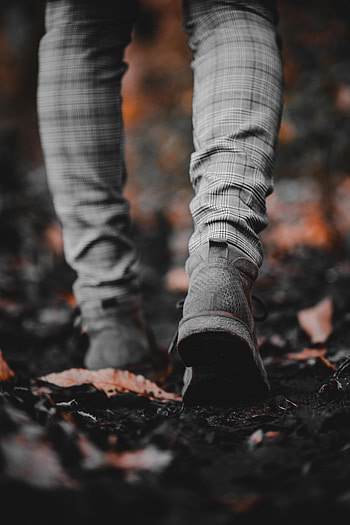Leaves, Miscellanea, Miscellaneous, Legs, Sneakers HD phone wallpaper