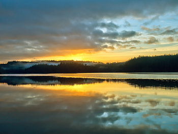 Mist Morning, river, morning, sunrise, mist, shore, reflection, clouds, trees, nature HD wallpaper