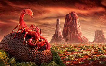 Red Scorpion, scorpion, art, field, red HD wallpaper
