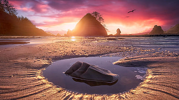 Shi Shi Beach, Olympic Nation Park, Washington, coast, clouds, colors, sky, water, rocks, usa, sunset, landscape HD wallpaper