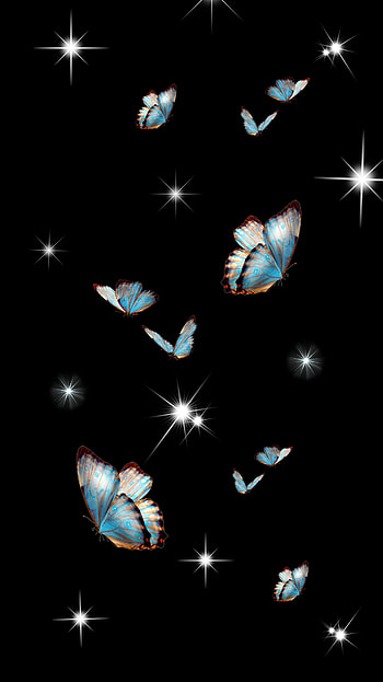 Sparkling butterflies, moths and butterflies, blue, star HD phone wallpaper