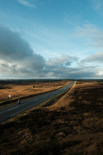 Nature, Fields, Road, Markup, Country HD phone wallpaper