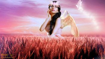~Angel of Magic~, birds, feathers, colors, beautiful girls, digital art, wings, weird things people wear, backgrounds, creative pre-made, angels, love four seasons, pink, fantasy, pretty, manipulation, softness beauty, models, lovely, fantasy girls HD wallpaper