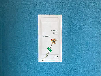 Love, Flower, Minimalism, Inscription HD wallpaper