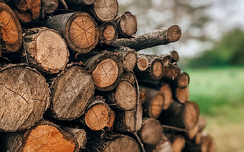 mountain of firewood, log, mountain log, cut trees, deforestation, logs HD wallpaper