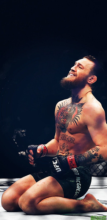 Conor Mcgregor, UFC HD phone wallpaper