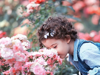❤, cute, girl, flowers, smel HD wallpaper