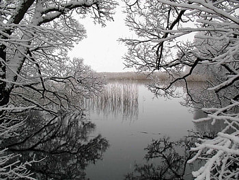 Landscape, Winter, Water, Trees, Lakes HD wallpaper