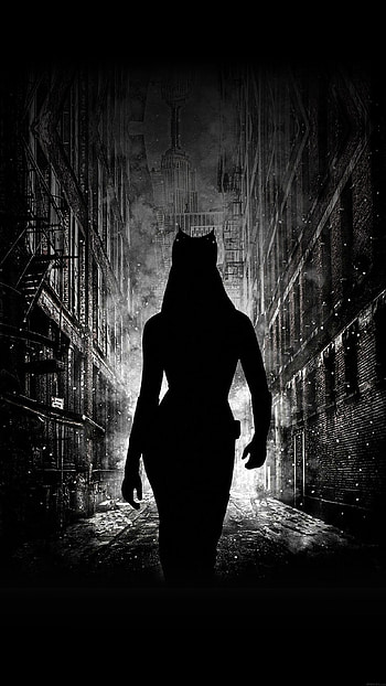 Ab23 , Catwoman walking dark HD phone wallpaper