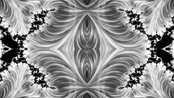Trippy Psychedelic Fractal, trippy, psychedelic, aesthetic, white, black, Abstract, fractal, abstract black HD wallpaper