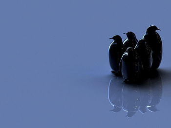 Birds, Pinguins, Reflection, 3D, Figurine HD wallpaper