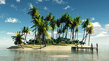 Fantastic Isle, palms, sea, uninhabited, paradisiac, trees, wood pier, beach HD wallpaper