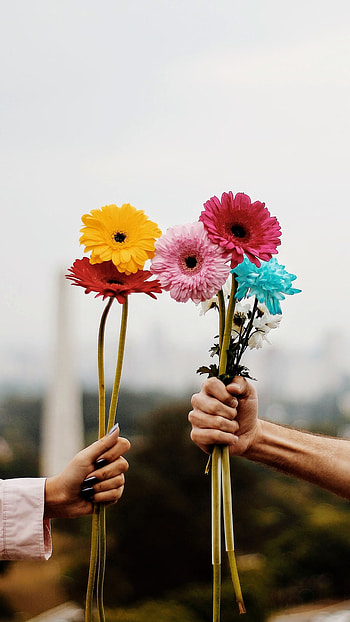 man made, flower HD phone wallpaper